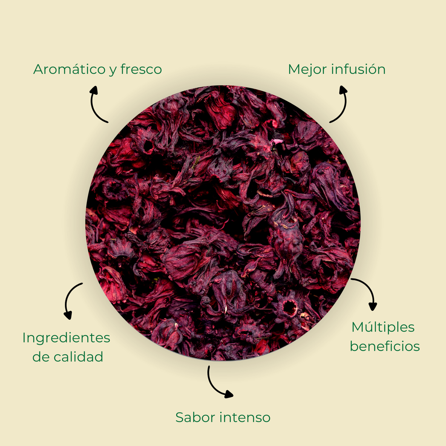 Hibisco