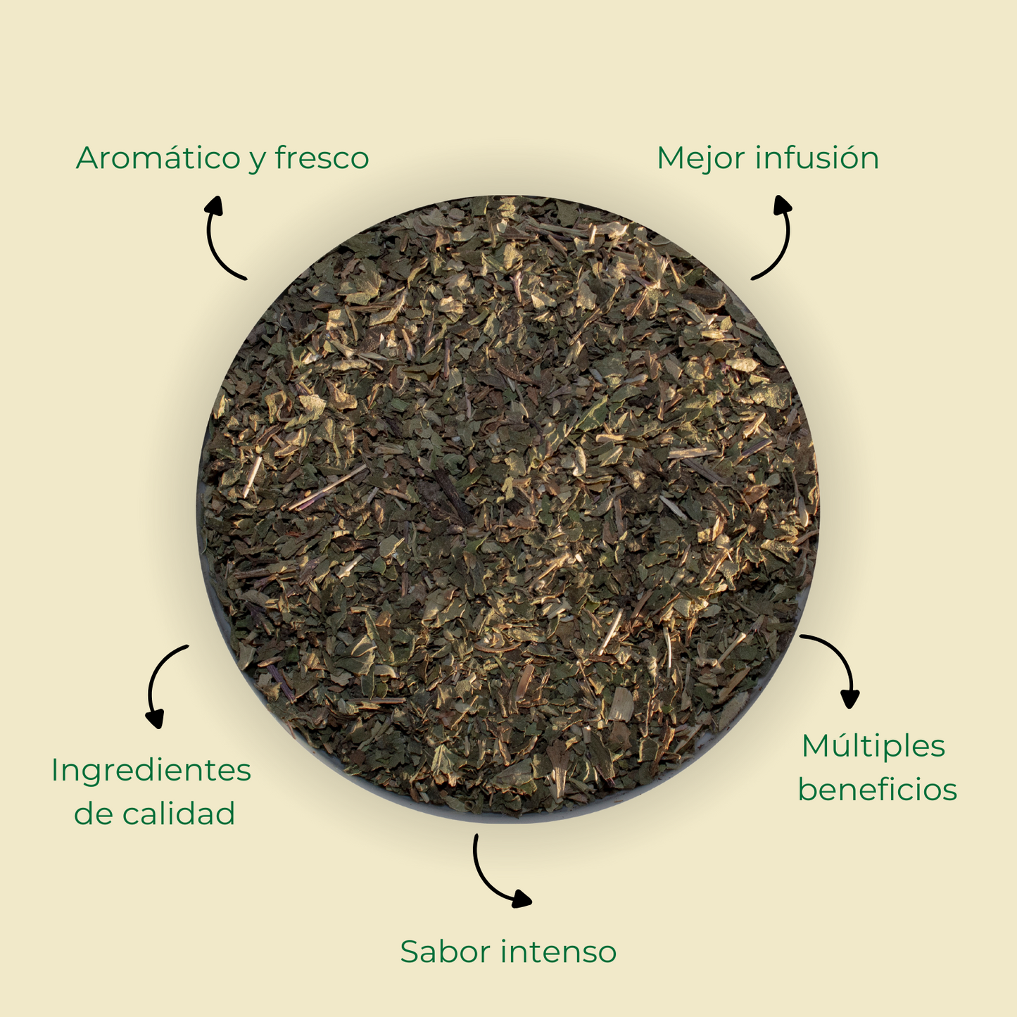 Menta Poleo