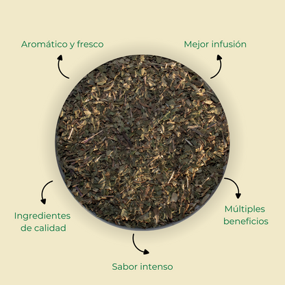 Menta Poleo