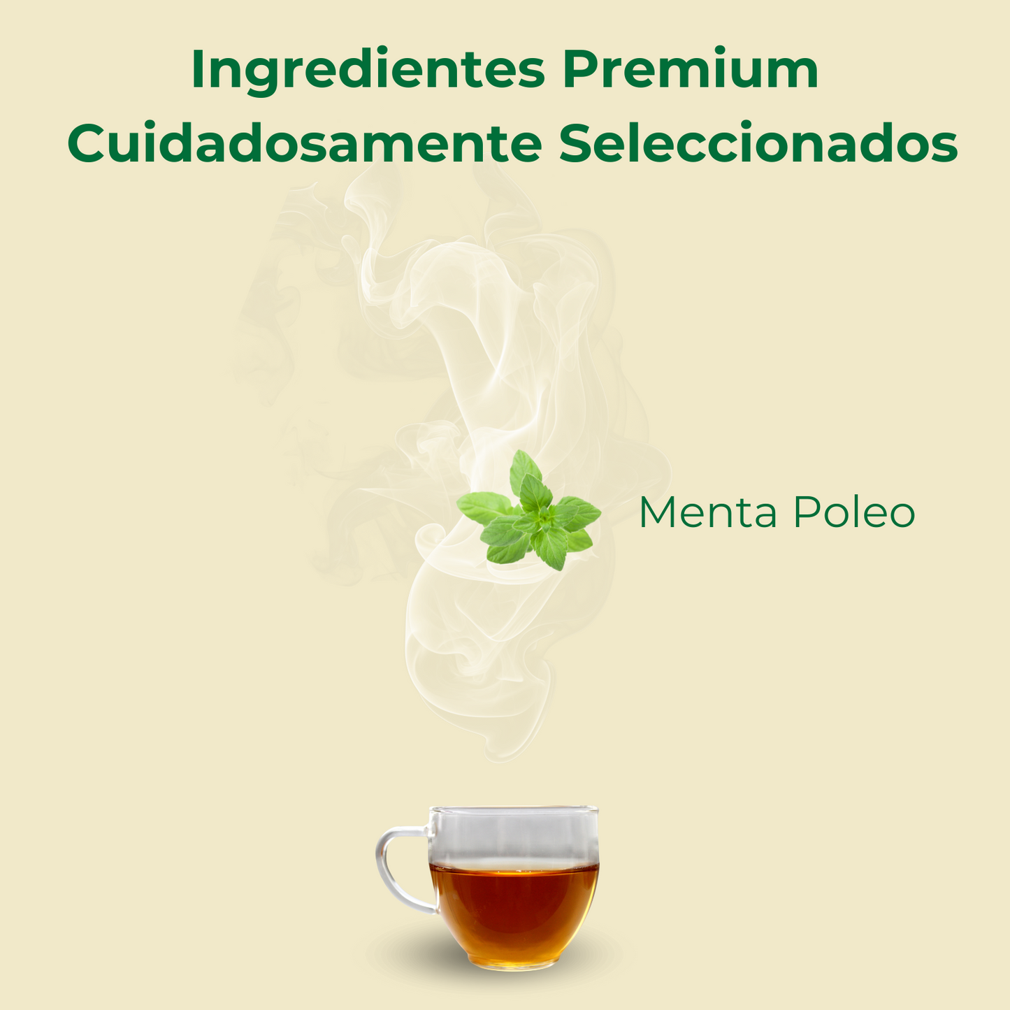 Menta Poleo