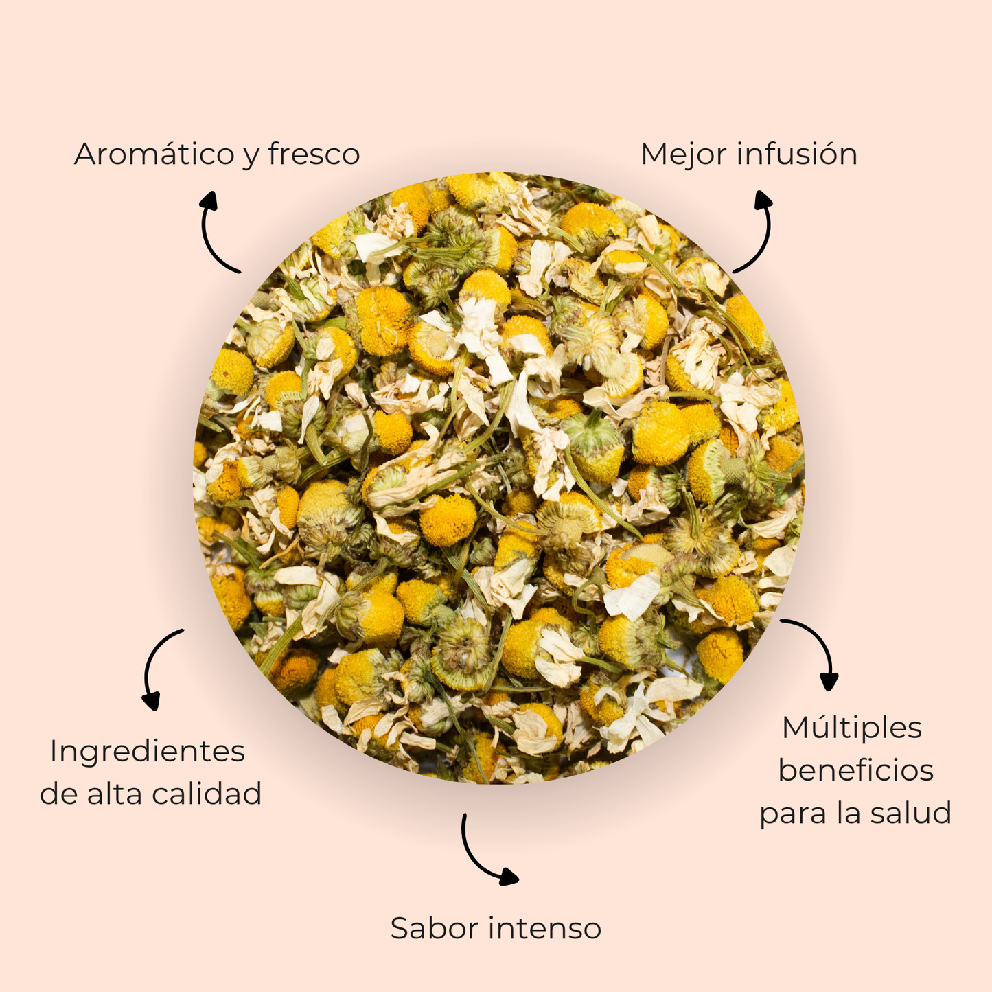 Camomile